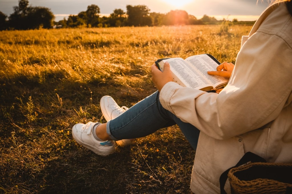 Comfort Bible
